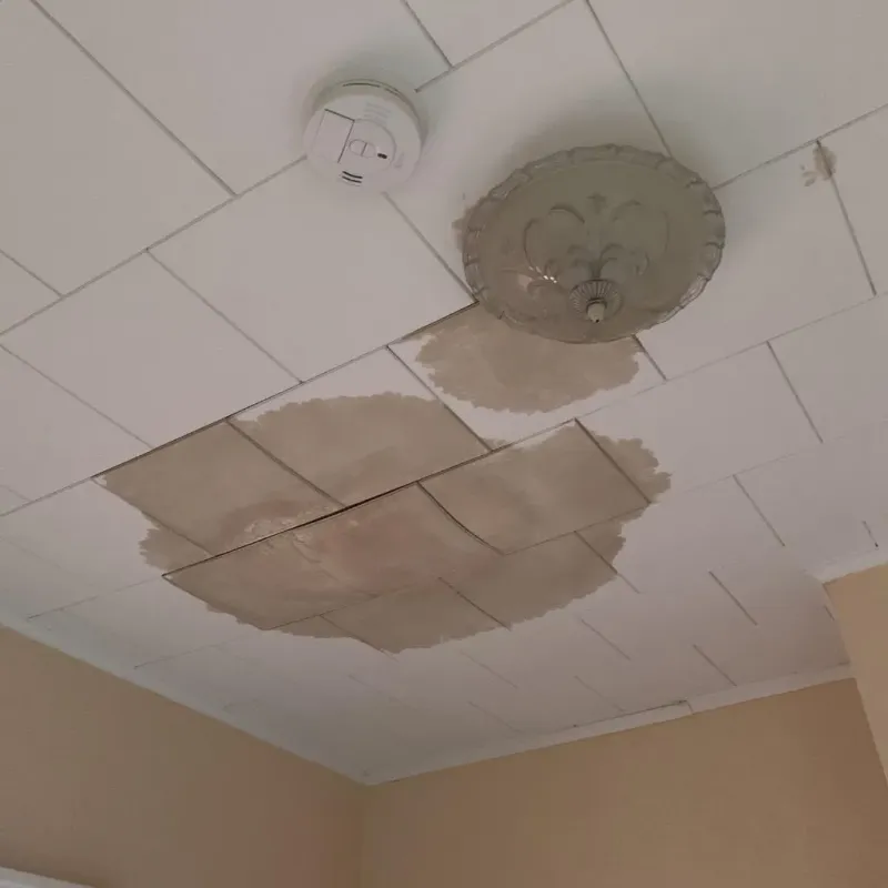 Ceiling Water Damage Repair in Boylston, MA